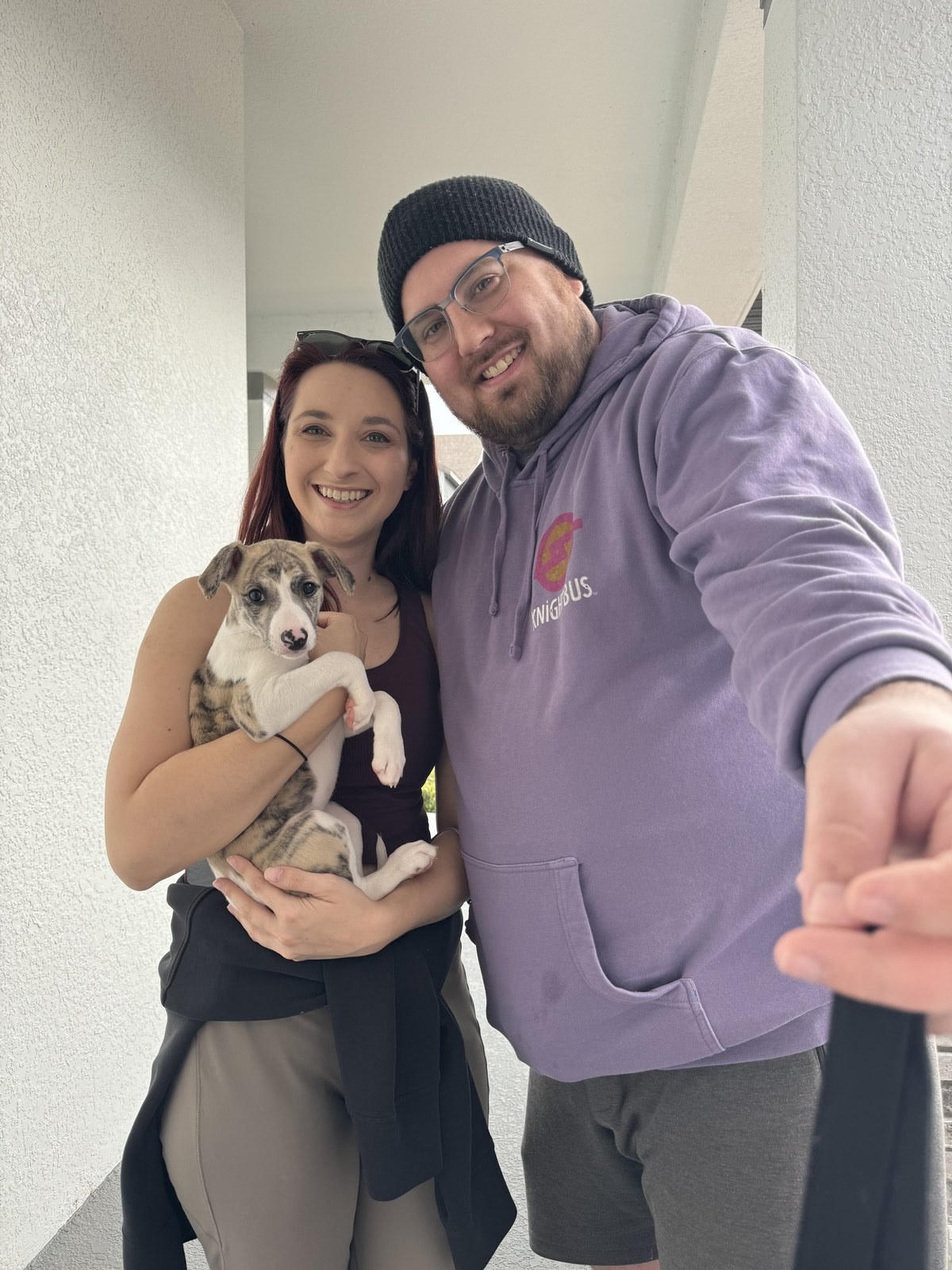 Niffty the puppy